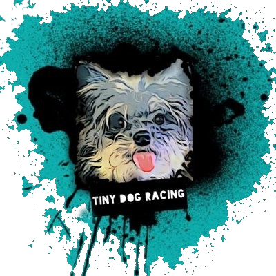 Pro iRacing team in various forms of motorsports | TinyDogRacing@gmail.com