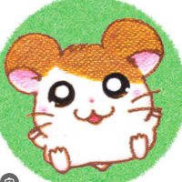 りんご (@ring3125) 's Twitter Profile