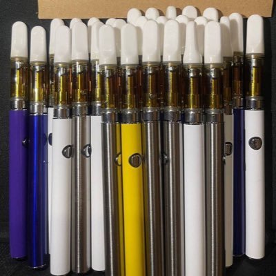 STdzy1688's profile picture. 主做电子烟，rush为主，招代理，大号：@Qc5599需要联系tg: https://t.co/QQkmuFvmk6