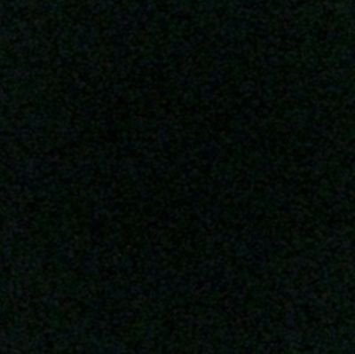 Ri50230002Daryl's profile picture. 