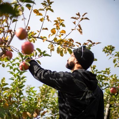 Nathan Notorious 👹 Profile