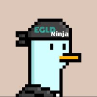 EGLDNinja 🥷 (@egldninja) 's Twitter Profile Photo EGLDNinja 🥷 (@egldninja) 's Twitter Profile Photo