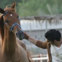 اكسجين 🤎 (@ggfa_) 's Twitter Profile