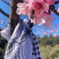 Warda_GazaPal 𓂆 🍉🇵🇸 𓂆 (@wgazapal) 's Twitter Profile Photo Warda_GazaPal 𓂆 🍉🇵🇸 𓂆 (@wgazapal) 's Twitter Profile Photo