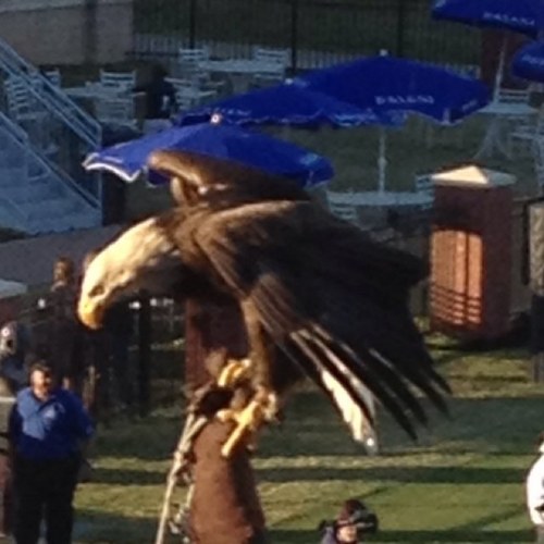 konixjr's profile picture. 