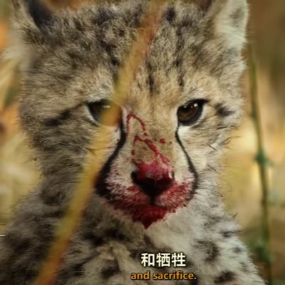 アリて🐜さんのプロフィール画像