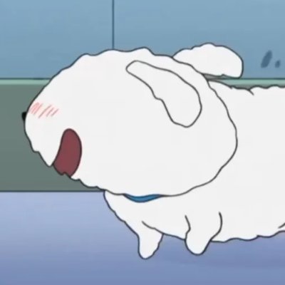 Shiro Profile