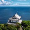 KaijoChireki's profile picture. 海城中高地理歴史研究部の有志部員が運営しています！

日々の活動や海城のことについて、たま〜につぶやきますので、よろしければフォローお願いします！

部員数：中学／20名　高校／15名
活動時間：水・木・金

🌊今年のテーマが「海」に決定しました！！！