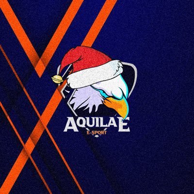 Structure eSport sous loi 1901 sur FIFA 🎮 Soutien @MakeAWishFrance 🦅 @FRAGCASE: AQUILAE - 10% aquilae.esport.association@gmail.com