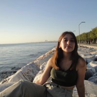 aleyna (@aleynaurora) 's Twitter Profile