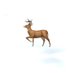 🦌 (@shika2shika_89) Twitter profile photo 🦌 (@shika2shika_89) Twitter profile photo