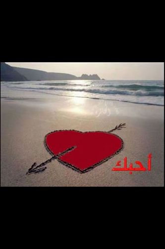مو كل واحد يقوول احبك يكوون عارف الحب