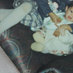 Farah Badawi (@farahbadawi1) Twitter profile photo
