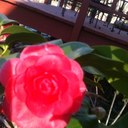 Barbara Schmid - @PedsNuRDCoord - Twitter