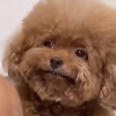 uY6kqVtpY19087's profile picture. 