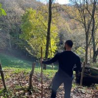 Føn (@elfondamental) 's Twitter Profile