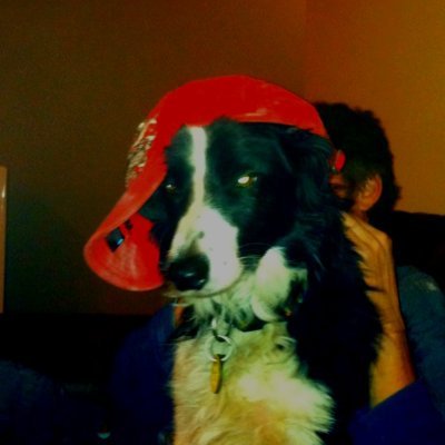 Craigyさんのプロフィール画像