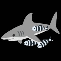 멸치상어 (@anchovyshark) 's Twitter Profile Photo 멸치상어 (@anchovyshark) 's Twitter Profile Photo