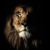 The Nirvana of Judah Tribe (@diyyourself23) Twitter profile photo The Nirvana of Judah Tribe (@diyyourself23) Twitter profile photo