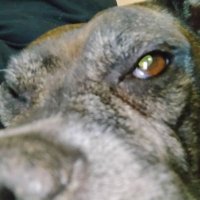 Sentry ( NO SOLICITATION) (@chugabuga9) 's Twitter Profile