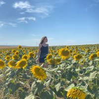 Ece Mozakoglu (@ecemozakoglu) 's Twitter Profile