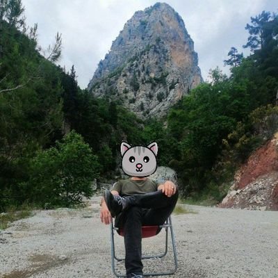 tarikumur_'s profile picture. Cats are ready, who's ready???