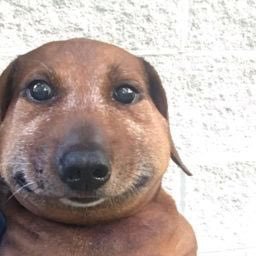 KiShU0507's profile picture. 