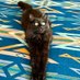 cattitude (@laurafbasey) Twitter profile photo cattitude (@laurafbasey) Twitter profile photo