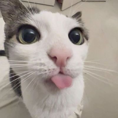 _go0nerboi_'s profile picture. nsfw/suggestive art 🔞