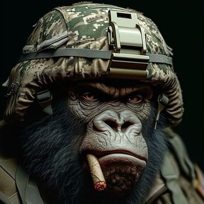 Hamid32815644's profile picture. beti