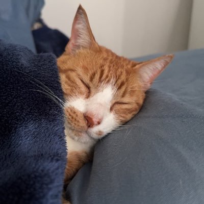 PEsZZe1OR536750's profile picture. Xはじめたばかりです 無言フォロー失礼します 車と猫 愛車BMW M850iクーペ