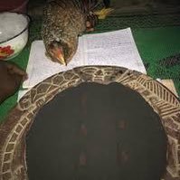 Spiritual healer:Money spell,Protection spell,Pregnancy spell,Cheating spell E.T.C Get back your Ex,don’t give up by loosing any of ur love life