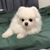 진널북 (@jinnalbook) Twitter profile photo 진널북 (@jinnalbook) Twitter profile photo