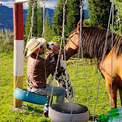 Padre, esposo, médico y docente. Experto en invalidez, pensiones y seguridad social. Amante de los caballos. Dios es mi guía y fortaleza. Opiniones personales