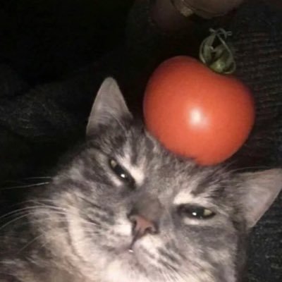 ASHENash Profile