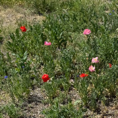 SBMunro's profile picture. 