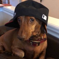rigoli (@matheusrig0li) 's Twitter Profile