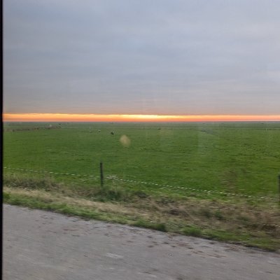 hugizhugonis's profile picture. interested in most everything.