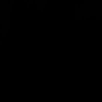 Toe Beans (@boreal_dreams) 's Twitter Profile