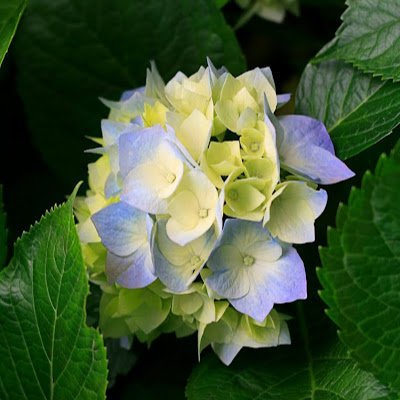 taegwonson80838's profile picture. 