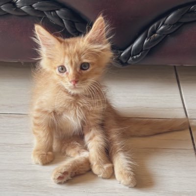 ZalzaVinaViana's profile picture. 