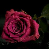 Nurulhüdâ (@nazargah33) 's Twitter Profile Photo