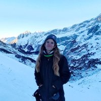 Zsolt Semperger (@zsemperger) Twitter profile photo