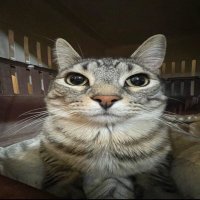 . (@ysocringe) 's Twitter Profile