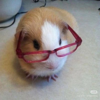 Jmcjsedani's profile picture. 🚪88