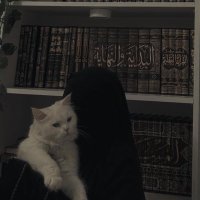 سَارةالحربي (@llllix12_) Twitter profile photo