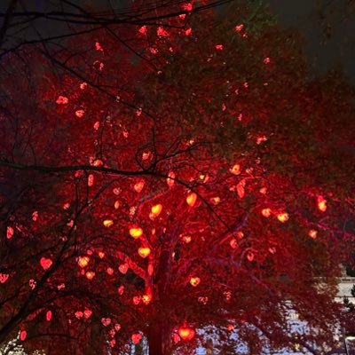 cuteBUTpsychoxo's profile picture. 21🧝🏼♀️ catmommy jak jinak že 🤪