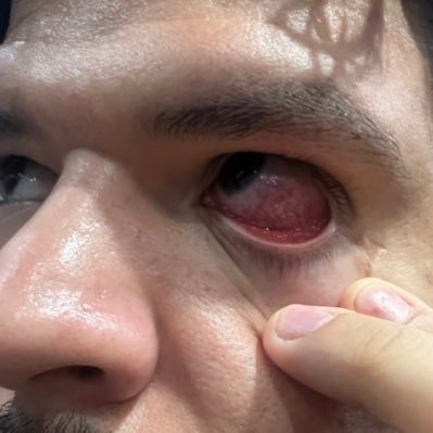 0lionel51's profile picture. Eis o melhor e o pior de mim