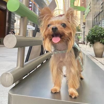 gong_yun11349's profile picture. 区块链爱好者。BTC HODLer.