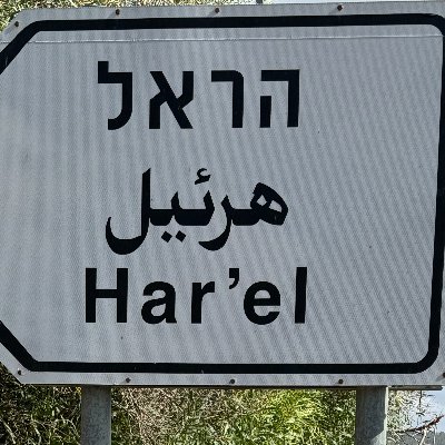 Femelle adulte 🇮🇱
Au Québec depuis 1625
Juive de père, Catholique de mère
Indépendantiste, Sioniste et SARCASTIQUE!